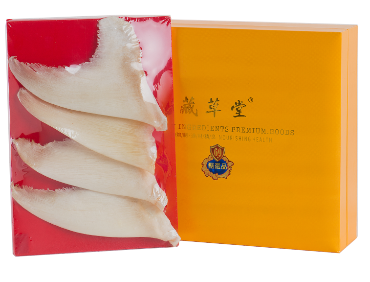 鱼翅